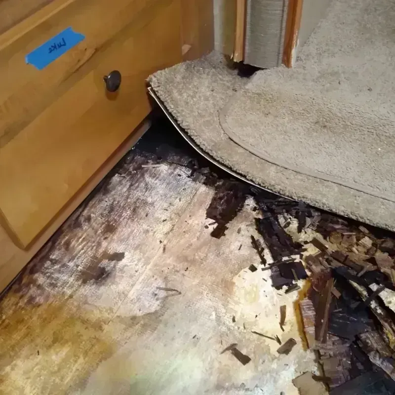 Wood Floor Water Damage in Duluth, GA